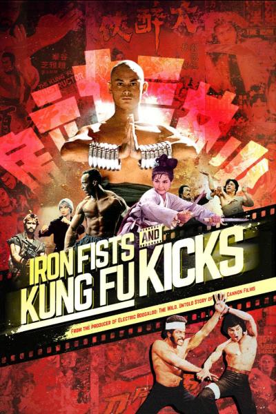 Poster : Iron Fists and Kung Fu Kicks