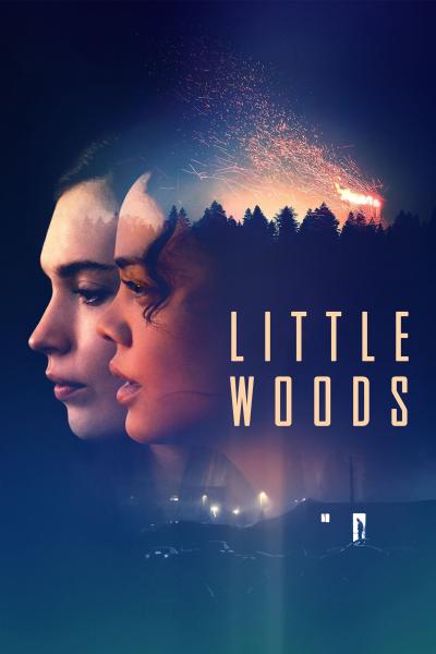 Poster : Little Woods