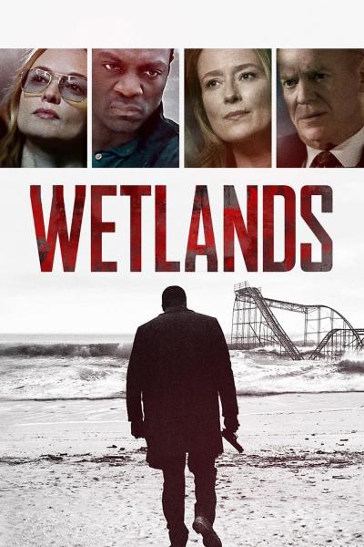 Poster : Wetlands