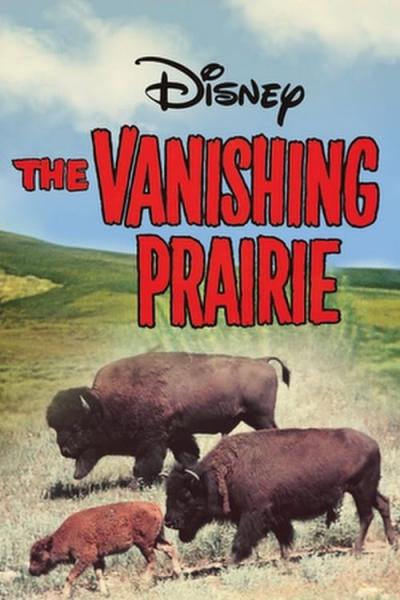 Poster : La Grande Prairie