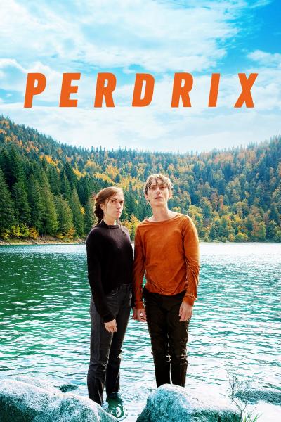 Poster : Perdrix