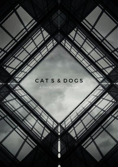Poster : Cats & Dogs