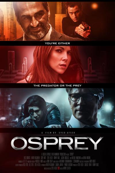Poster : Osprey