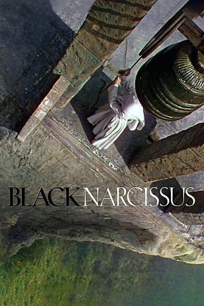 Poster : Le Narcisse noir