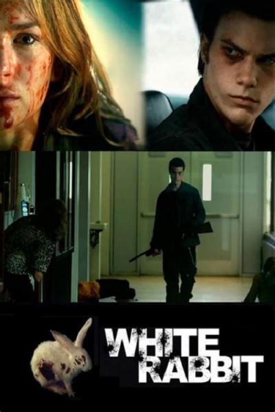 Poster : White Rabbit