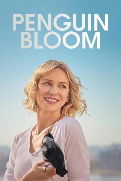 Poster : Penguin Bloom