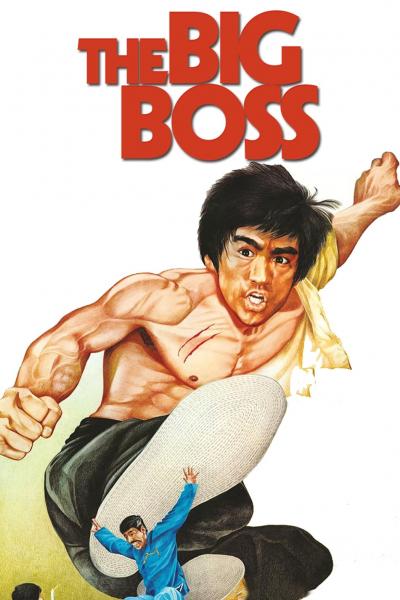 Poster : Big Boss