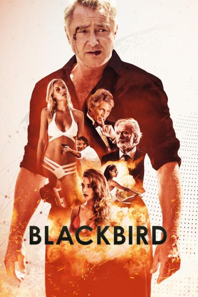 Poster : Blackbird